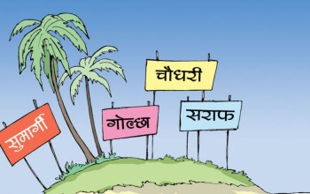 आइल्याण्डमा गोल्छा परिवारको लगानी, स्विट्जरल्याण्डमा खाता